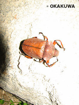 20190510b.jpg