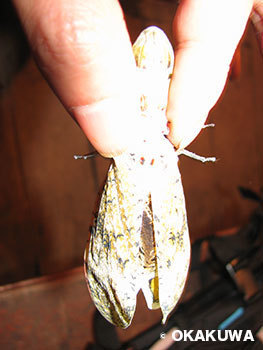 20190512a.jpg