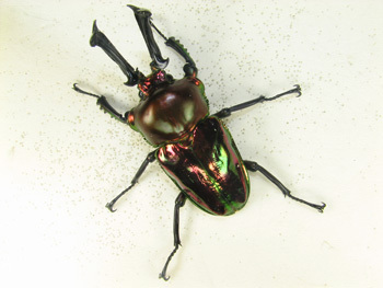 20120502a.jpg