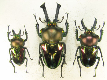 20120502b.jpg