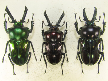 20120502c.jpg