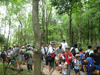 20130805c.jpg
