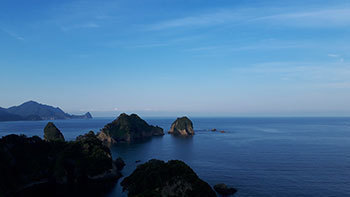 20180725a.jpg