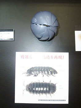 20190615q.jpg