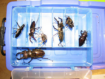20190629f.jpg