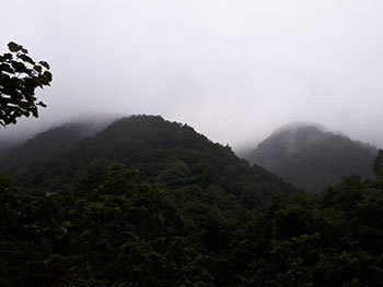 20190709b.jpg