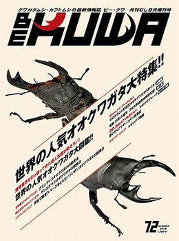 20190709m.jpg