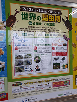 20190713a.jpg