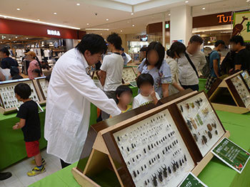 20190713d.jpg