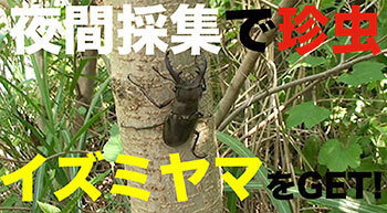 20190723l.jpg