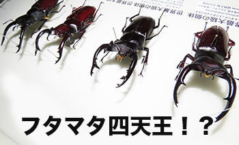 20191125a.jpg