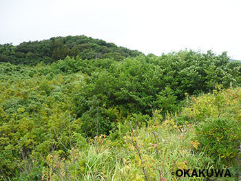 20200504c.jpg