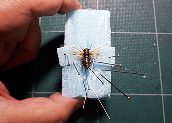 20201004a.jpg