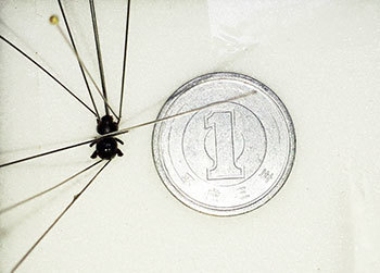 20201006a.jpg