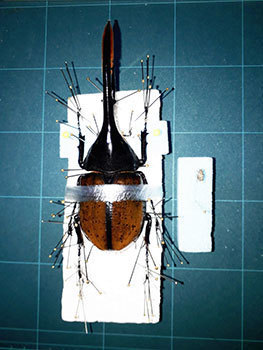 20201009b.jpg