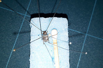 20201010a.jpg