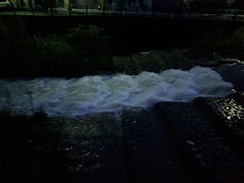 20201011a.jpg