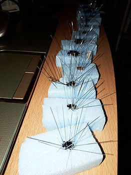 20201027b.jpg