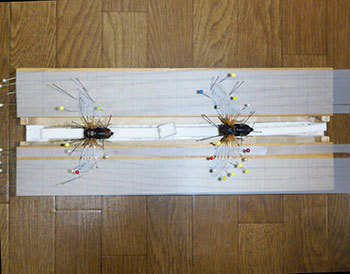 20201029a.jpg