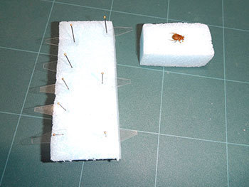 20201031a.jpg