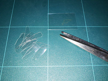 20201031b.jpg
