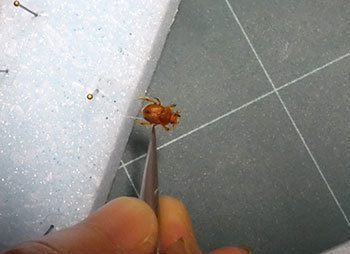 20201031d.jpg