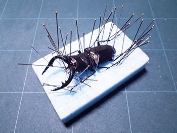 20201112a.jpg