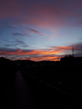 20201114a.jpg