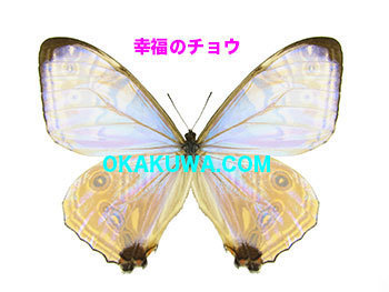 20201127a.jpg