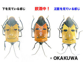 20201202a.jpg