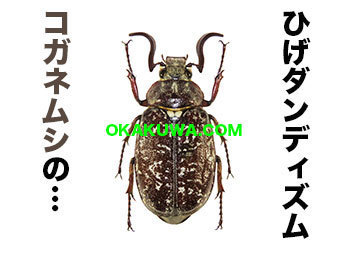 20201208a.jpg