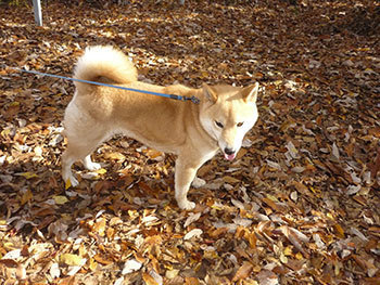 20210122c.jpg