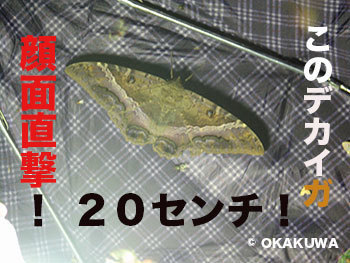 20210220b.jpg