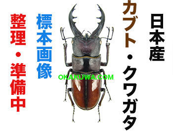 20210308a.jpg