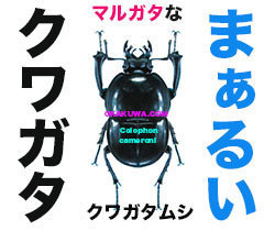 20210328a.jpg