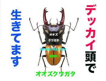 20210401b.jpg