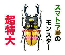 20210406a.jpg