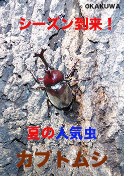 20220703a.jpg