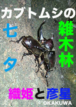 20220707a.jpg