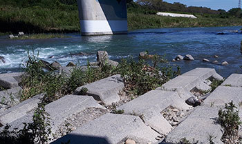 20221122a.jpg