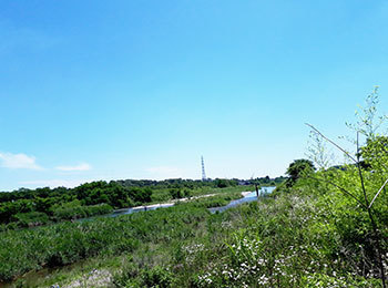 20230618a.jpg