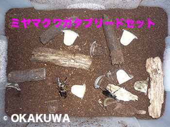 20230721a.jpg