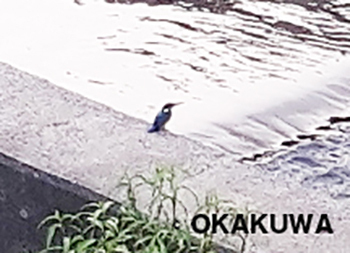 20230820aa.jpg