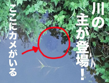 20230829a.jpg
