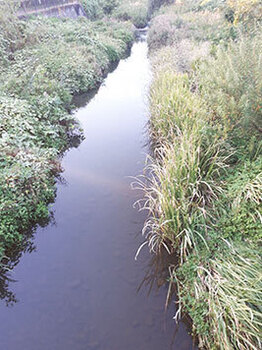 20231008b.jpg