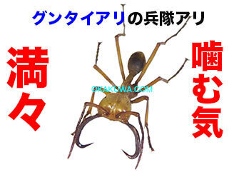 20231011a.jpg