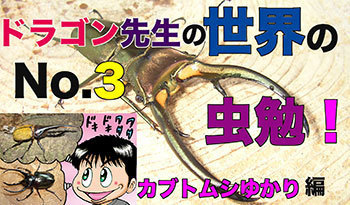 虫勉3.jpg
