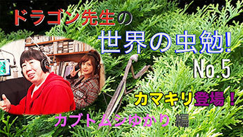 虫勉5.jpg
