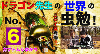 虫勉6ル.jpg