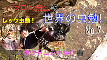 虫勉7.jpg